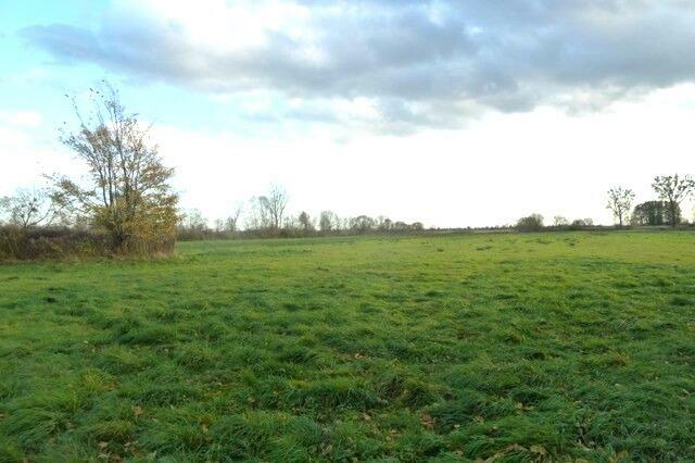 Działki budowlane z dostępem do mediów - Bogdaniec