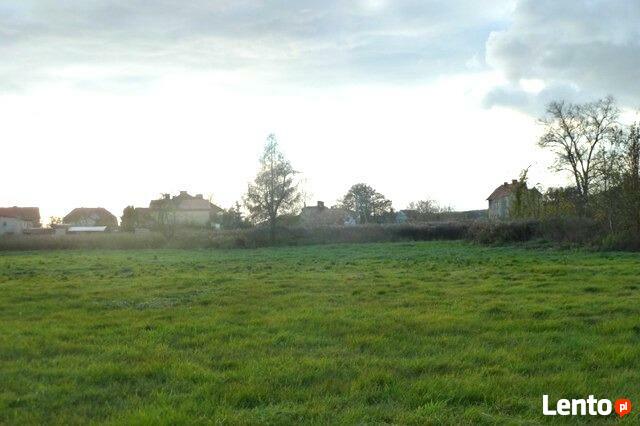 Działki budowlane z dostępem do mediów - Bogdaniec