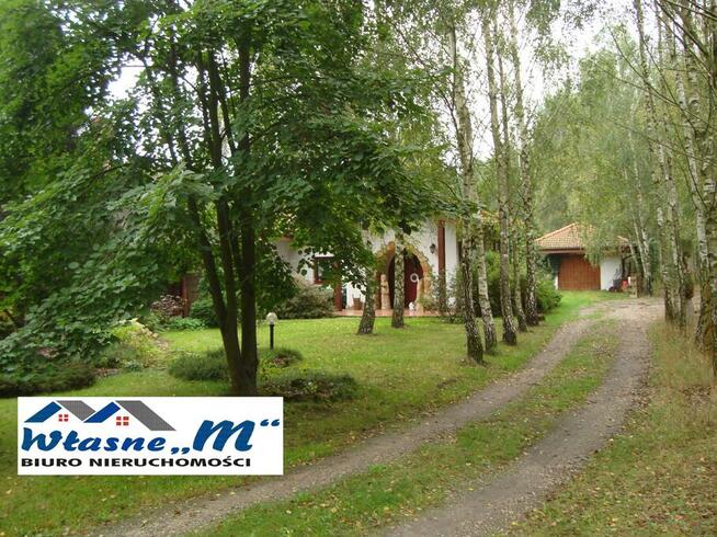 Działka usługowa Gołaszewo gm. Kowal