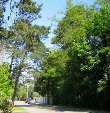 Działka budowlana Warszawa Wesoła, Wola Grzybowska