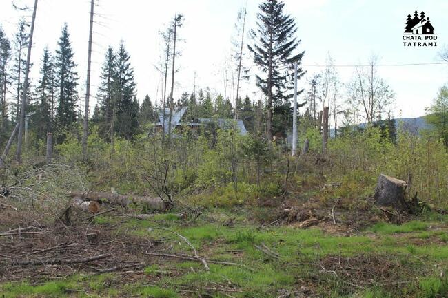 Działka Kościelisko