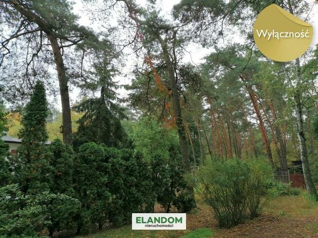 Nietypowa, ale ciekawa