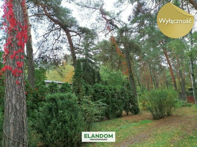 Nietypowa, ale ciekawa