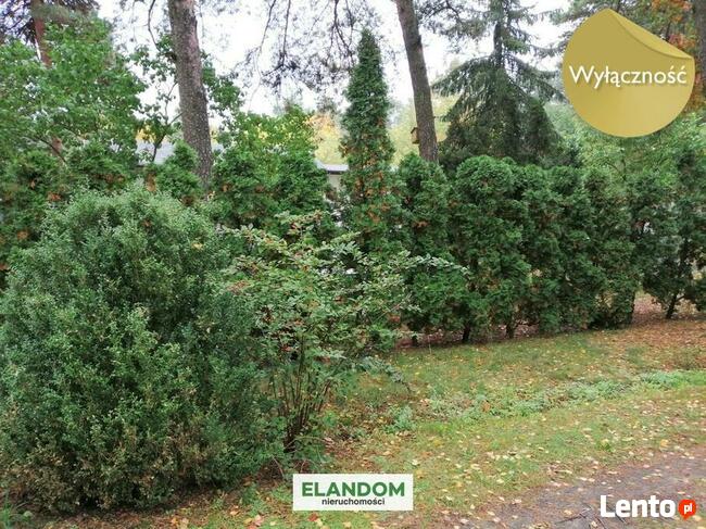 Nietypowa, ale ciekawa