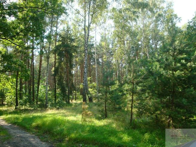 Działka budowlana Warszawa Wesoła