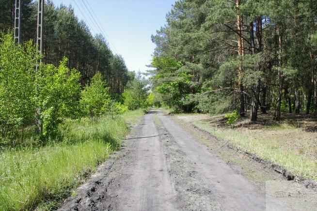 Działka leśna Warszawa Wesoła