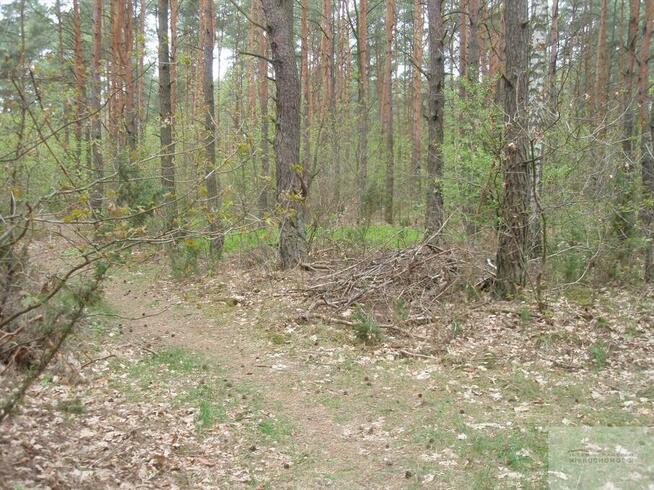 Działka budowlana Warszawa Wawer