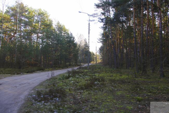 Działka leśna Warszawa Wesoła