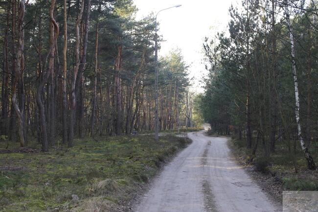 Działka leśna Warszawa Wesoła