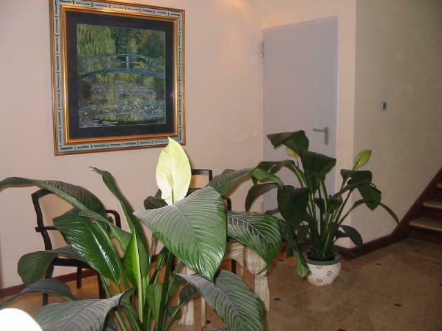 Lokal użytkowy Warszawa Śródmieście, Śródmieście, Mazowiecka