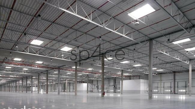 Hala/Magazyn, 6 300 m², Gdańsk
