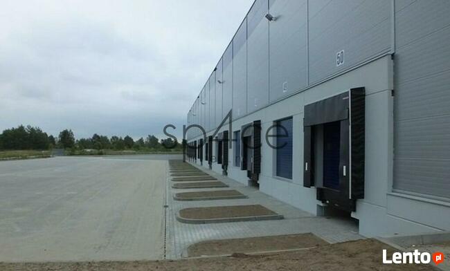 Hala/Magazyn, 1 143 m², Duchnice