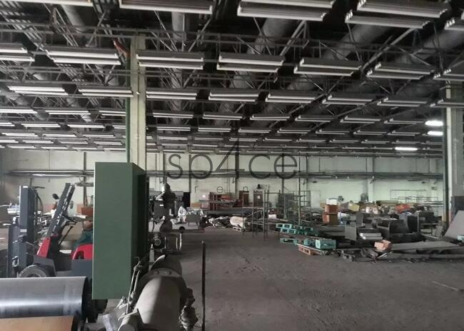 Hala/Magazyn, 10 000 m², Zgierz