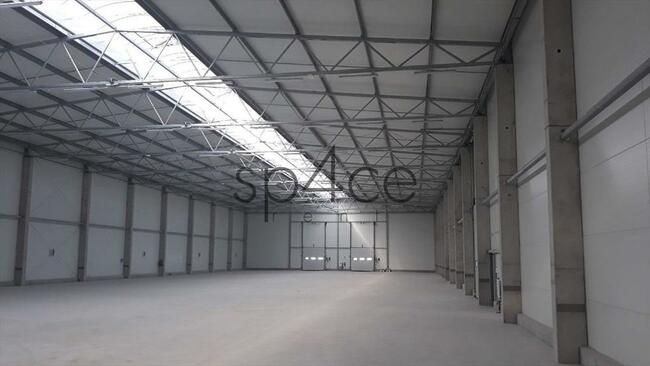 Hala/Magazyn, 4 800 m², Lućmierz Las