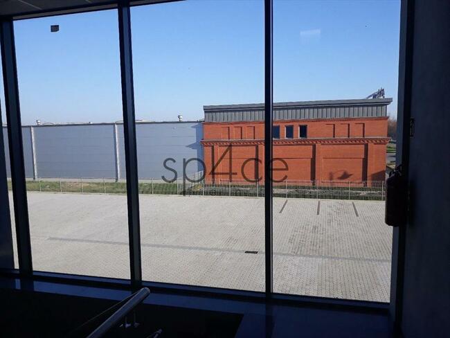 Hala/Magazyn, 4 800 m², Lućmierz Las