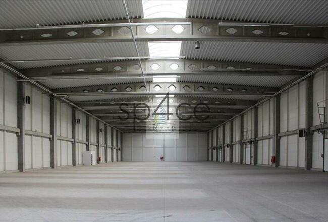 Hala/Magazyn, 4 800 m², Lućmierz Las