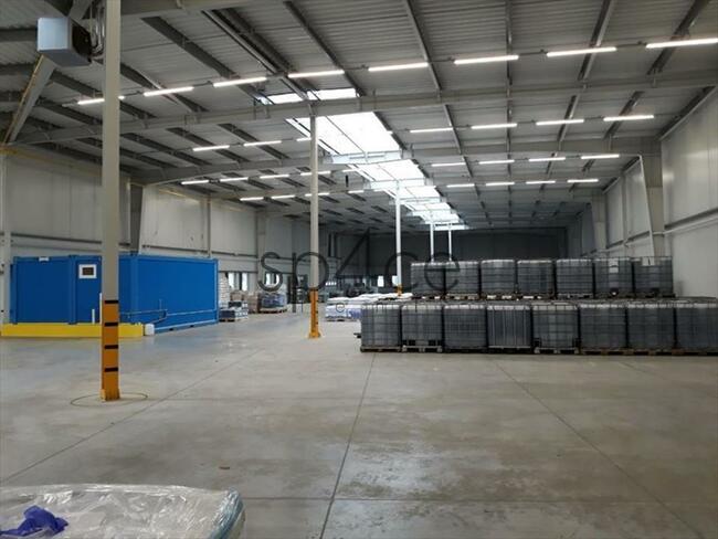 Hala/Magazyn, 6 000 m², Białystok