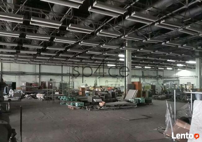 Hala/Magazyn, 6 800 m², Pruszków