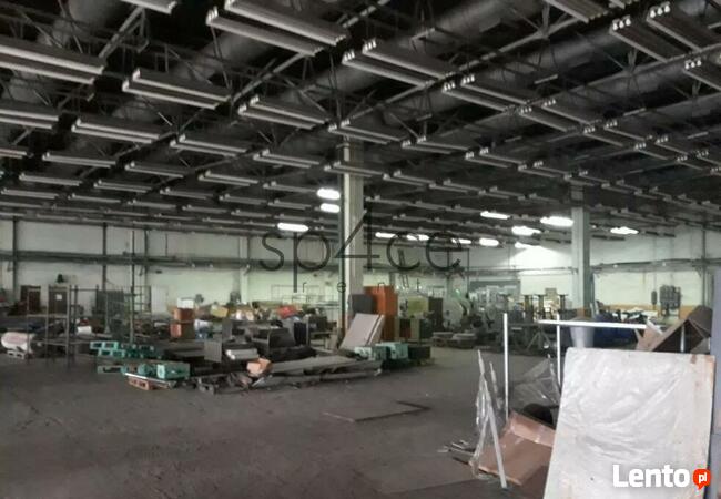 Hala/Magazyn, 6 800 m², Pruszków