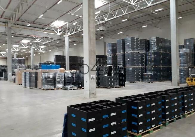 Hala/Magazyn, 8 100 m², Jawczyce