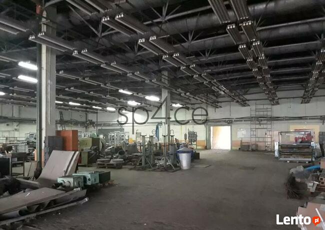 Hala/Magazyn, 2 339 m², Marki