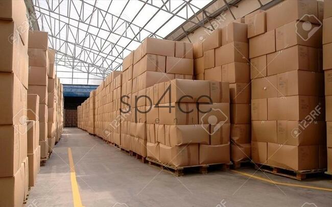 Hala/Magazyn, 9 921 m², Poznań