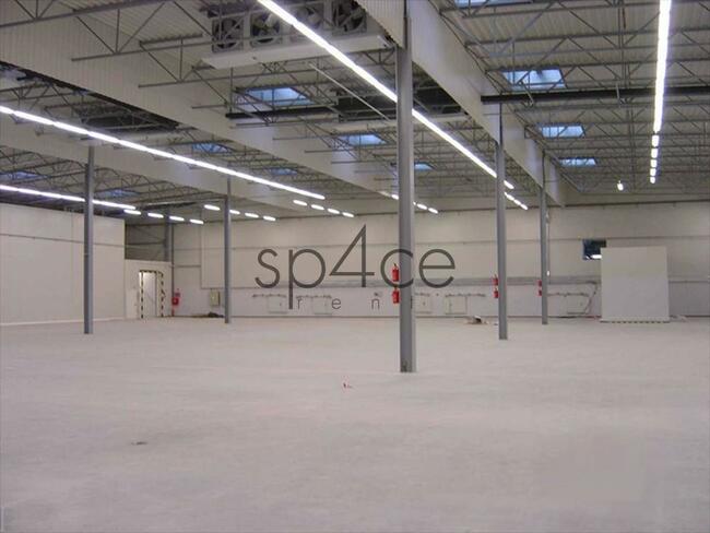 Hala/Magazyn, 2 700 m², Lublin