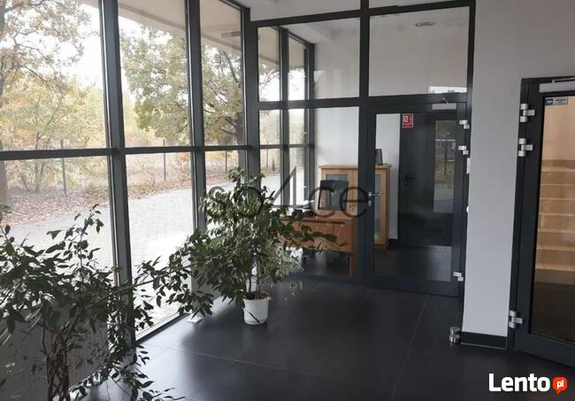 Hala/Magazyn, 5 500 m², Łódź