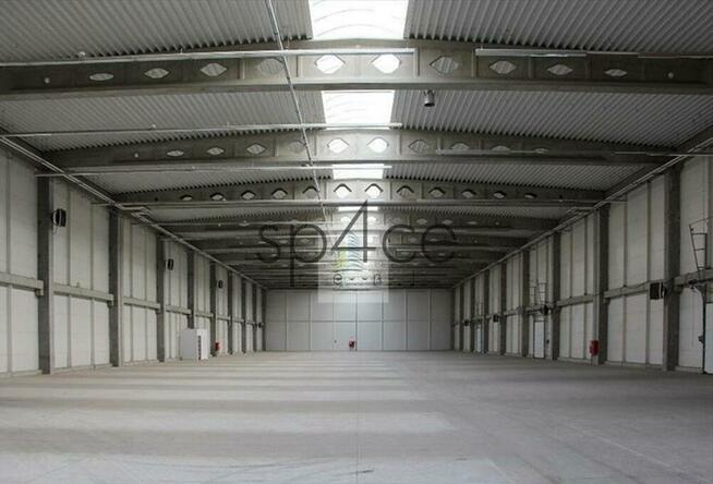 Hala/Magazyn, 10 000 m², Mysłowice - TANIO / teraz