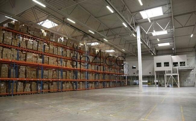 Hala/Magazyn, 10 000 m², Szczecin
