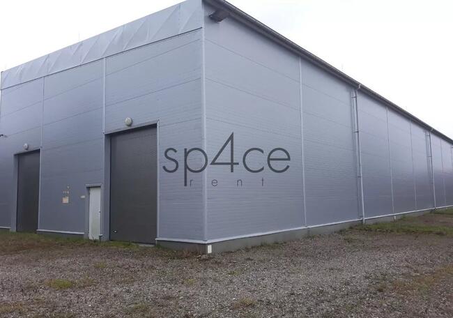 Hala/Magazyn, 4 200 m², Gdańsk