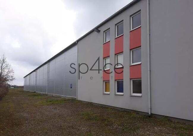 Hala/Magazyn, 4 200 m², Gdańsk