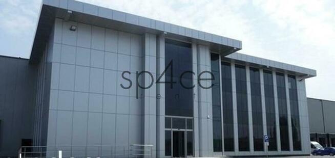 Hala/Magazyn, 600 m², Lesznowola