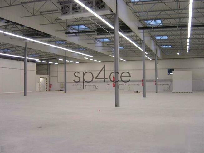 Hala/Magazyn, 3 500 m², Warszawa