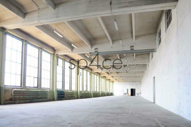 Hala/Magazyn, 570 m², Warszawa