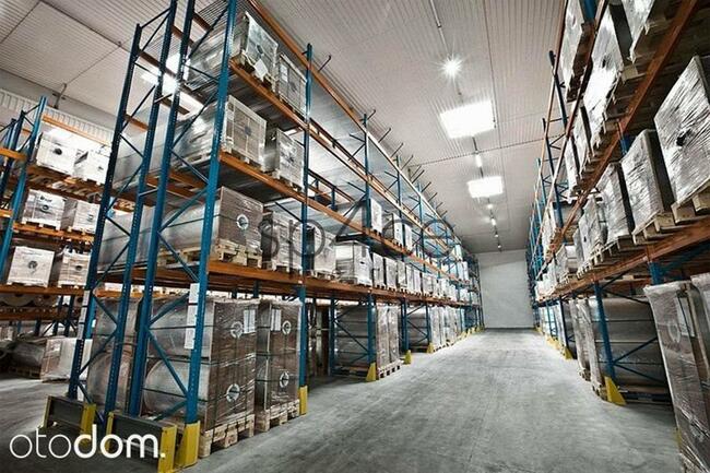 Hala/Magazyn, 2 424 m², Pruszków