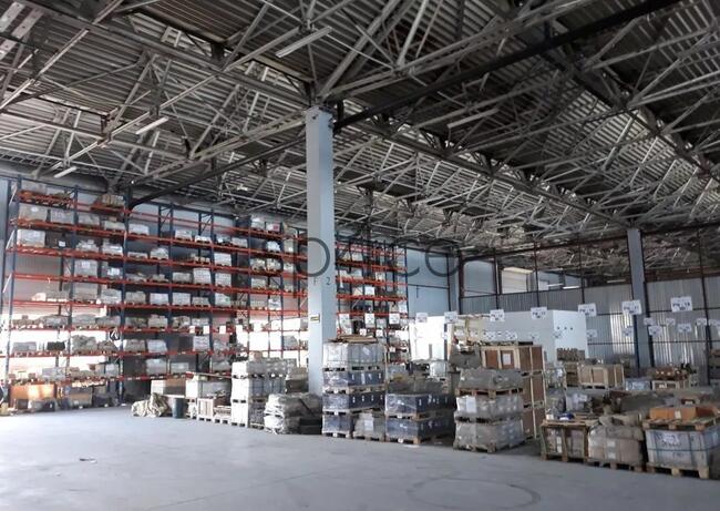 Hala/Magazyn, 2 500 m², Piotrków Trybunalski