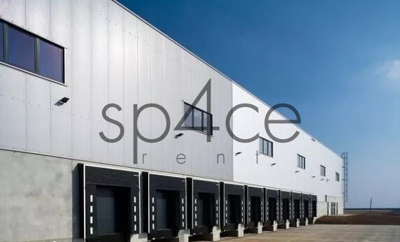 Hala/Magazyn, 5 000 m², Siedlce