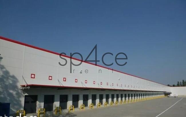 Hala/Magazyn, 8 000 m², Rzeszów