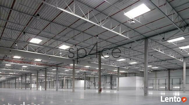 Hala/Magazyn, 954 m², Ożarów Mazowiecki