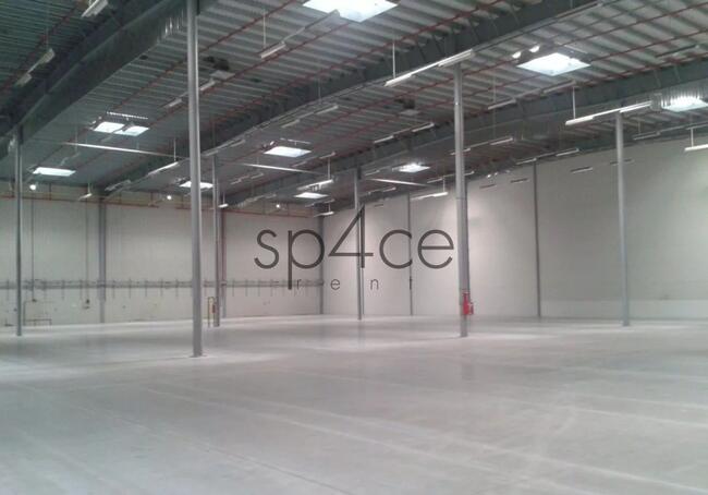 Hala/Magazyn - warehouse, 8 100 m², Piaseczno