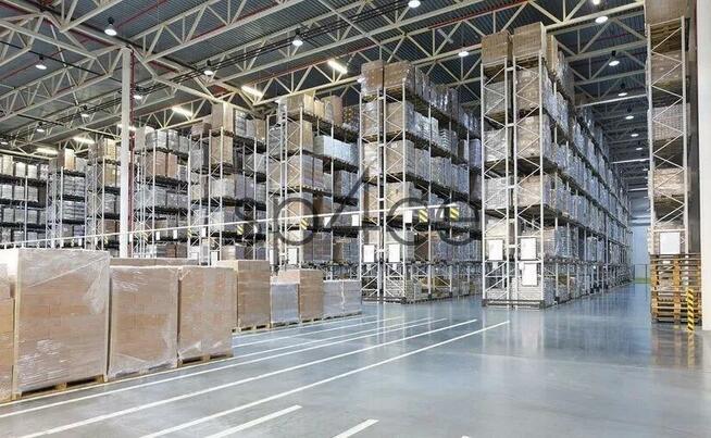 Hala/Magazyn/Warehouse, 1 880 m², Plewiska