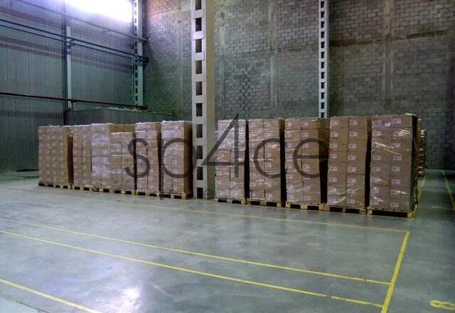 Hala.Magazyn, Międzyzdroje, 1300 m2