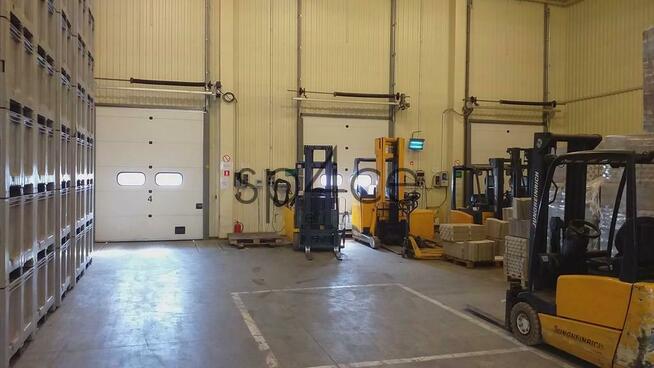 Hala.Magazyn A klasa Targówek Warszawa, 1000 m2