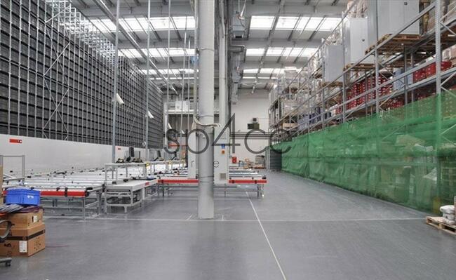 Hala.Magazyn, Tarnobrzeg, 800 m2