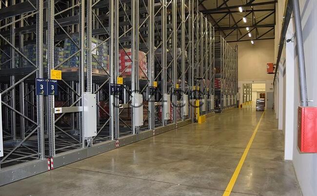 Magazyn.Hala 750 m2, wysoki standard, Łódź-Widzew