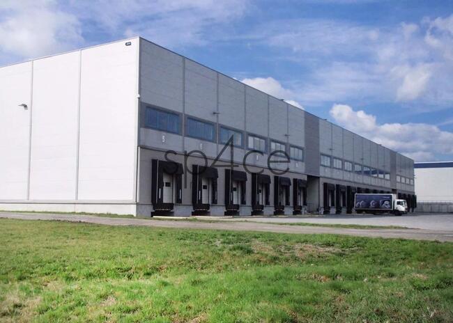 Hala. Magazyn, Błonie k/ Warszawy, 13259 m2