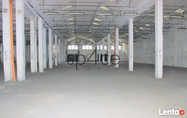 Hala. Magazyn, Dąbrówka, 620 m2