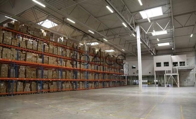 Hala Magazynowa, 7100 m2, Wrocław-Fabryczna