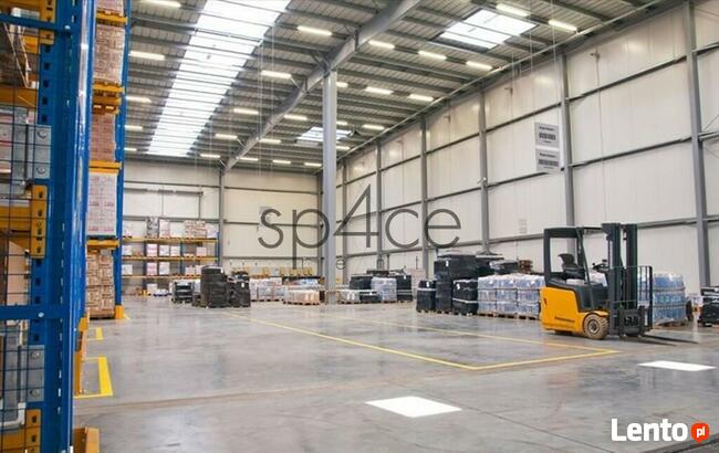 Hala. Wysoki standard Pruszcz Gdański 9000 m2